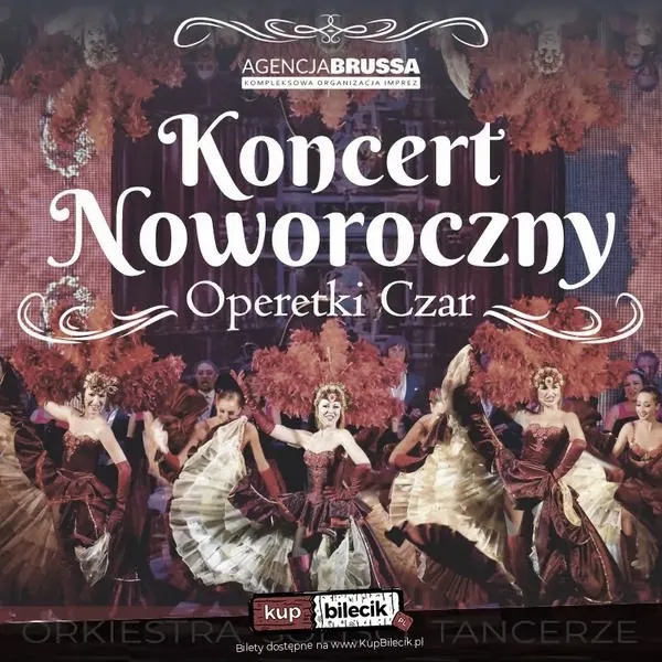 Ile wydasz na bilet na koncert noworoczny w Wiedniu? Sprawdź szczegóły!